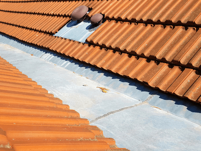 About Leaking Skylight Repair Pros Ash Flat, AR
